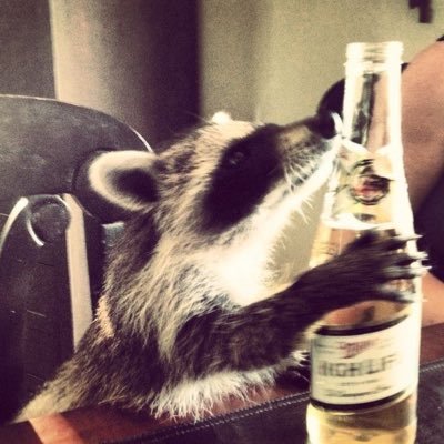 pfznl_'s profile picture. ★