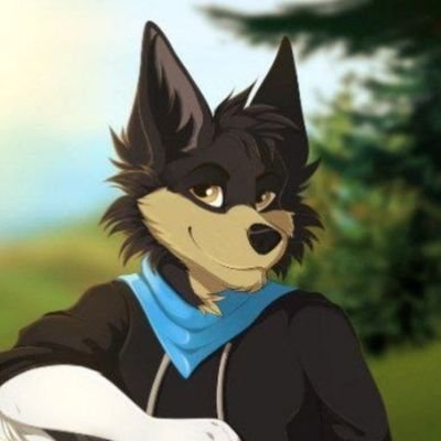Collehさんのプロフィール画像