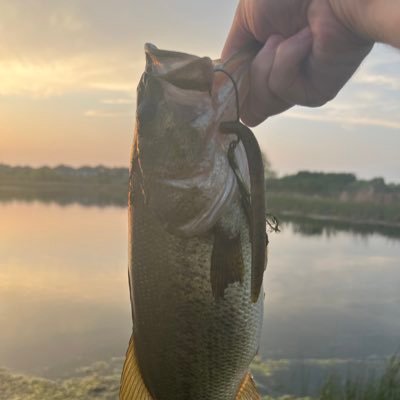 cousin_Greg_95's profile picture. ... I'd rather be outside