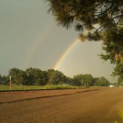 JennySehr's profile picture. I enjoy truth🙂