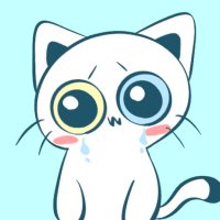 りゅうせい (@neko_pipipi81) 's Twitter Profile