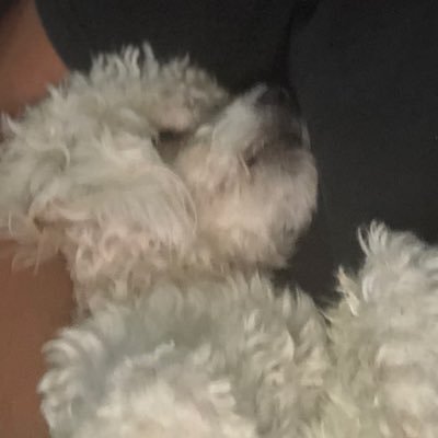 sann_r21's profile picture. tallarines