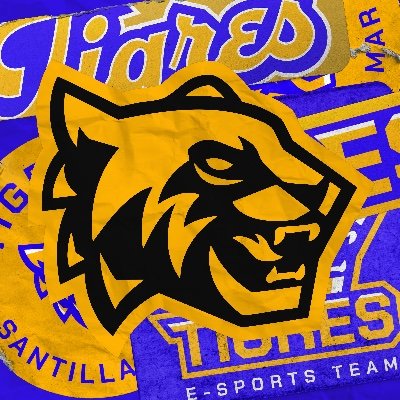 WE DON'T PLAY THE GAME.
WE ENGINEER IT.
#SDMeSports #TheNewWave #LoL #SDMTigres