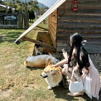 Crauiceek (@crauiceek96432) 's Twitter Profile
