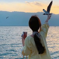 Dauvee (@dauvee242049) 's Twitter Profile