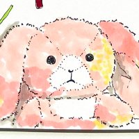 ぽね🤍🩵 (@poooone0205) 's Twitter Profile Photo