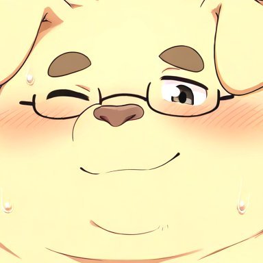 きりんさんのプロフィール画像