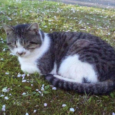 滋賀民医連医学生センター(膳所、坂本民主、こびらい生協、こうせい駅前の各診療所)@エミール瀬田201さんのプロフィール画像