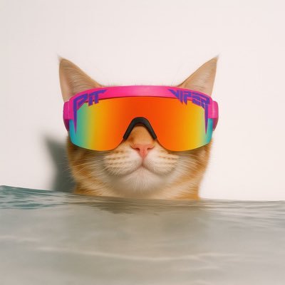 DisasterHM's profile picture.