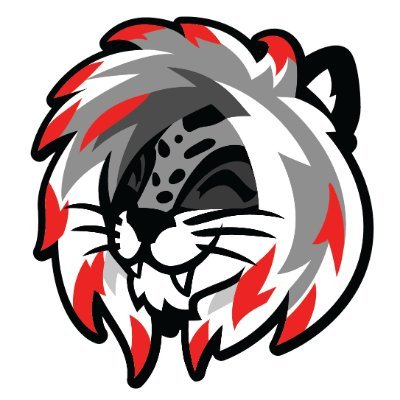 NSFW 18+ ONLY!!! Retired writer of (mostly) furry smut. Now I stream games on Twitch. Come find me as ShadowWolpard.