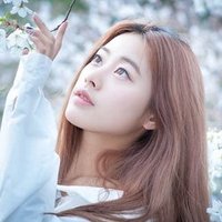Kexin Chen (@chen391306) 's Twitter Profile