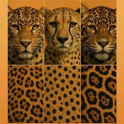 edluzon23's profile picture. Go to the flow