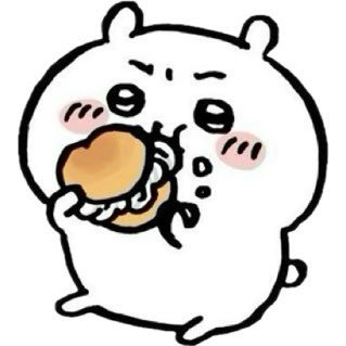 19 🇭🇰🇨🇦 pre med pre med pre med kinsiology honours pre med i love hockey and gacha games