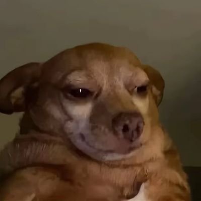 sifaitea's profile picture. 🌳🌱