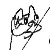 フリート🗒️