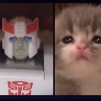 PROWL!..🚔— cunt4cunt era (@weeping_groves) 's Twitter Profile