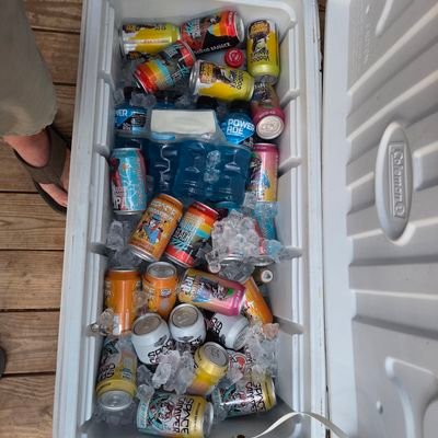 BackseatAdvizor's profile picture. Political Savant