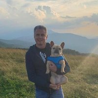 Philip (@philip_willss) 's Twitter Profile