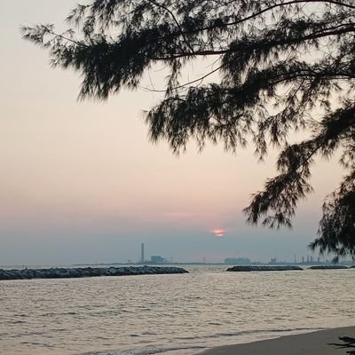 thrngph14360852's profile picture. เพจเก่าโดนบล็อค