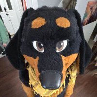Alphonse (@alphweenie) 's Twitter Profile