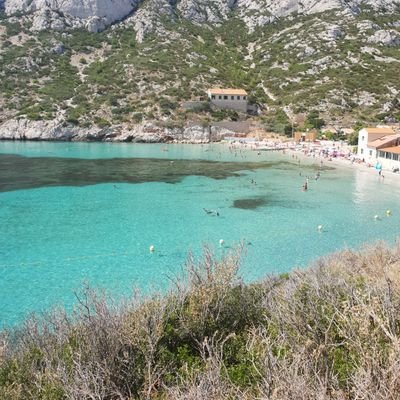 ArabianHood13's profile picture. 