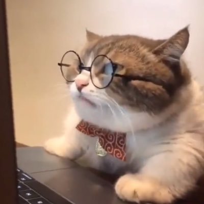 bahhumbugge's profile picture. 
