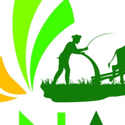 info_opi's profile picture. 