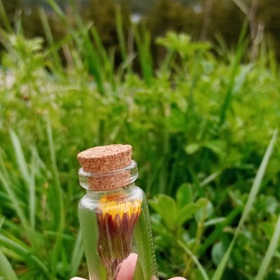 anamb2591's profile picture. 