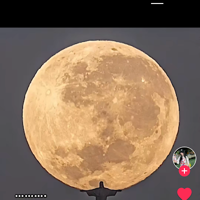 PreppsA's profile picture. 