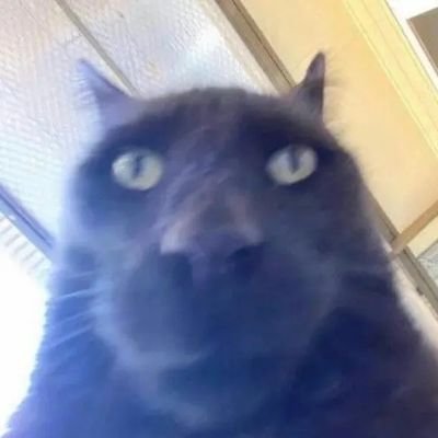 Willさんのプロフィール画像