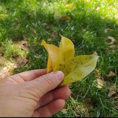 bakur4950821's profile picture. 