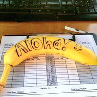 The Growth Hustler (@meruchia_solie) 's Twitter Profile