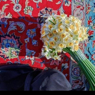 تیر ماهی ، مامان سه دسته گل ، کارشناسی ارشد مشاوره خانواده