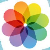 chiku_1000's profile picture. 