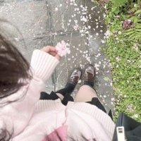 lulu ꕤ⋆˙ (@cinnakal) 's Twitter Profile
