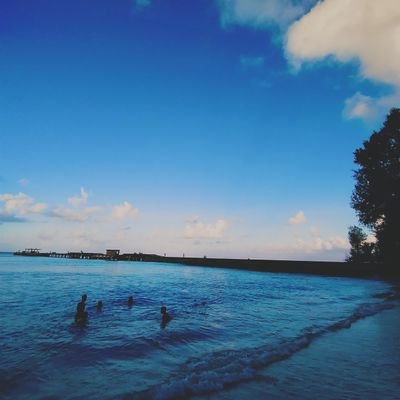 savar99407's profile picture. 🐋hireath:- deep longing for a home you can't return to, or the one which never existed