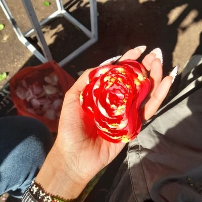 d0theylovesos4 Profile Picture