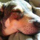 Kyle Parrish - @usmc454 - Twitter