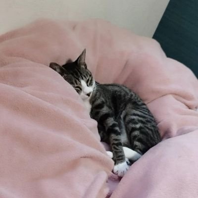 ZRylYuhmrf45892's profile picture. あいっていいます！