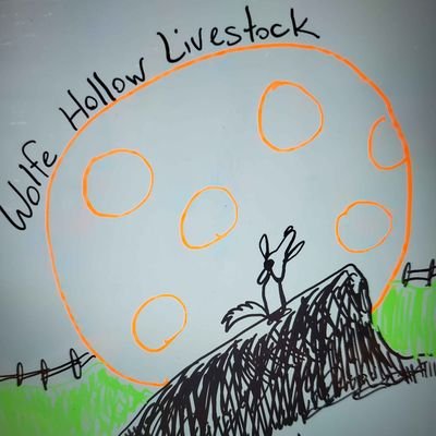 A family owned farm business that will have various different livestock