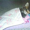 Michelle Höhn - @michelle_hohn - Twitter