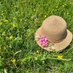 Homestead feminine wealth (@hfemininewealth) Twitter profile photo Homestead feminine wealth (@hfemininewealth) Twitter profile photo