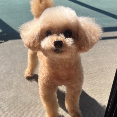 lawsonlml's profile picture. カタリナしかカタん！→わたなか デススト2フォト👍👶🦀🌈🐳🫶気軽にカイラルフォローして下さい！1376/2000