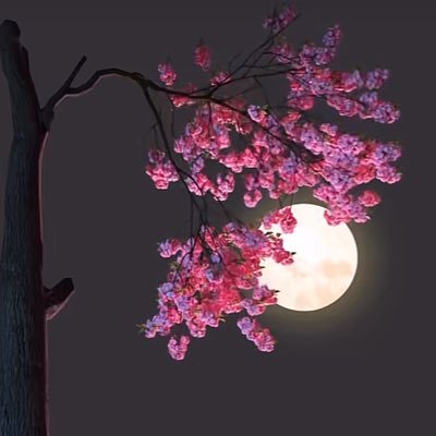 me01690's profile picture. 🍃🌹🍂🥀