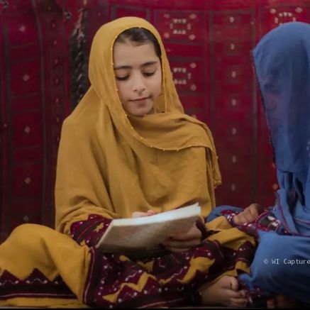 farinaaznawab's profile picture. writer