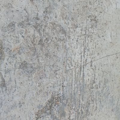 tanahlapang123's profile picture. 