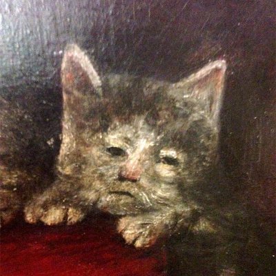 Sweetasahyena's profile picture. si tu vas pas bien j'ai 3 chattes, 1 perroquet et 2 poulettes qui se laissent prendre en photo facilement - 🏺