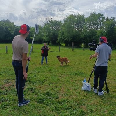 QVerdierre's profile picture. SPV du nord 👩‍🚒, passionné du numérique et des transmissions📡
Correspondant Beffroi Vision 📸