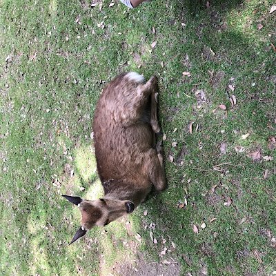 PJv2B4BdIp35195's profile picture. 