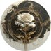 Cosimos S Portinari (@cosimosportnari) Twitter profile photo Cosimos S Portinari (@cosimosportnari) Twitter profile photo